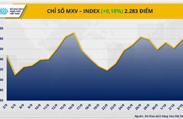 Lực mua áp đảo đưa MXV-Index lên đỉnh cao nhất kể từ cuối tháng 9