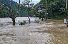 Ấn Độ: Lở đất vùi lấp một xe buýt, ít nhất 15 người tử vong
