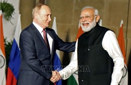 Thủ tướng Modi tái khẳng định quan hệ đối tác chiến lược Ấn Độ - Nga