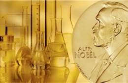 Nobel 2025: Kỳ vọng một &#39;giải thưởng xanh&#39; cho thời đại năng lượng mới