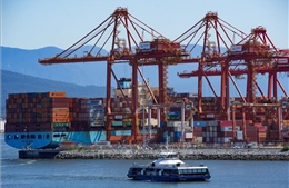 WTO dự báo tăng trưởng kinh tế toàn cầu có thể đạt 2,7% trong năm nay