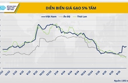 Nguồn cung dư thừa, gạo Việt Nam chịu sức ép cạnh tranh từ Ấn Độ