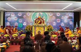 Cộng đồng người Việt tại Nga gìn giữ giá trị Phật pháp, hướng về quê hương