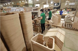 Doanh nghiệp ngành gỗ gặp khó khi hoàn thuế giá trị gia tăng