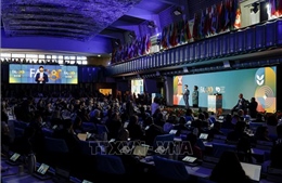 WFF 2025 – Chung tay vì nguồn thực phẩm lành mạnh hơn