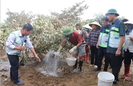Hỗ trợ nông dân khôi phục sản xuất sau mưa lũ