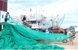 Khắc phục &#39;thẻ vàng&#39; IUU: Quảng Trị không còn tàu cá &#39;3 không&#39;