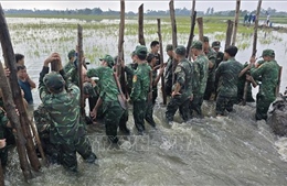Tây Ninh huy động lực lượng khẩn trương khắc phục sự cố đê bao