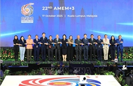 ASEAN thông qua sáng kiến hỗ trợ các dự án lưới điện xuyên biên giới