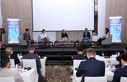 Thúc đẩy cơ hội hợp tác giữa Việt Nam và EU trong lĩnh vực đầu tư số