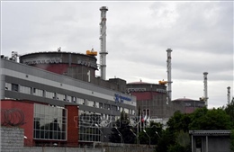 Nga: Ukraine nhất trí bảo đảm an ninh để khôi phục nguồn điện cho nhà máy hạt nhân Zaporizhzhia