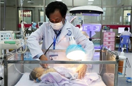 Dành hết tuổi xuân cho cuộc chiến chống sốt xuất huyết