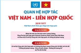 Quan hệ hợp tác Việt Nam - Liên hợp quốc