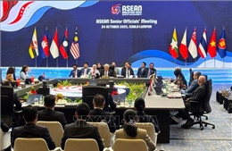 Rà soát công tác chuẩn bị cho Hội nghị Cấp cao ASEAN 47