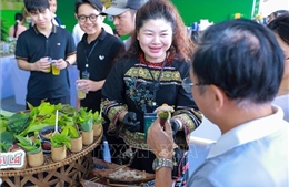 &#39;Thu Mỹ Vị&#39; hội tụ tinh hoa ẩm thực Việt