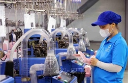 Thành lập Ban Chỉ đạo xây dựng Đề án Phát triển kinh tế có vốn đầu tư nước ngoài