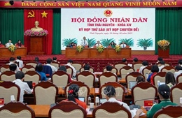 Cơ cấu, thành phần người được giới thiệu ứng cử đại biểu Hội đồng nhân dân