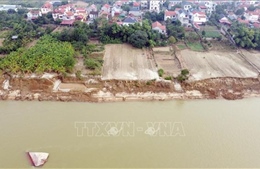 Người dân bất an khi bờ sông Lô sạt lở nghiêm trọng