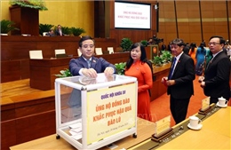 Phân bổ 3 đợt với tổng kinh phí 428 tỷ đồng hỗ trợ đồng bào bị ảnh hưởng bởi mưa lũ