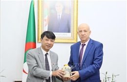 Việt Nam và Algeria thúc đẩy, tăng cường hợp tác