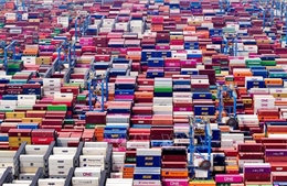 Mỹ công bố gói thỏa thuận Trung Quốc nhập khẩu 87 triệu tấn đậu nành