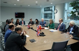 Việt Nam và Anh thúc đẩy hợp tác giáo dục đào tạo, phát triển kỹ năng