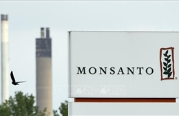 Tòa án Washington buộc Monsanto bồi thường 185 triệu USD