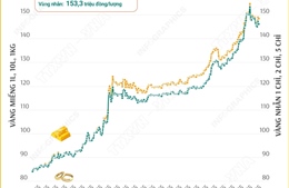 Giá vàng miếng sáng 1/11/2025