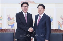 Chủ tịch nước Lương Cường tiếp Thị trưởng thành phố Busan