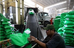 Hình mẫu xây dựng mạng lưới an ninh lương thực ASEAN