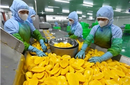 Rau quả Việt tăng tốc, tiến tới mục tiêu 10 tỷ USD