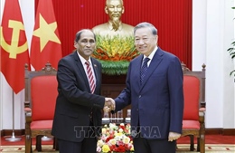 Tổng Bí thư Tô Lâm tiếp Đại sứ Singapore đến chào từ biệt