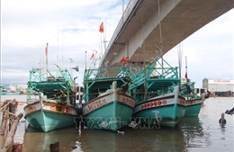 Giám sát, ngăn chặn kịp thời tàu cá vi phạm vùng biển nước ngoài