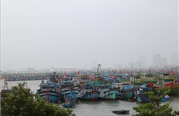 Kiểm đếm, quản lý chặt tàu thuyền ra khơi trong vùng nguy hiểm của bão KALMAEGI
