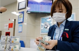 Tỷ giá hôm nay 4/11: USD tăng, NDT biến động trái chiều