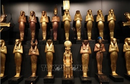 Đại bảo tàng Ai Cập trở thành biểu tượng mới của đất nước Kim Tự Tháp