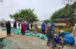 Huế: Nỗ lực khắc phục hệ thống đê kè ở vùng &#39;rốn lũ&#39; Quảng Điền