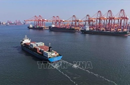 Trung Quốc mua lô hàng lúa mì đầu tiên từ Mỹ kể từ năm 2024