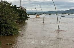 Ước tính thiệt hại ban đầu do ảnh hưởng bão số 13 là 7.050 tỷ đồng