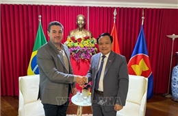 Việt Nam và Brazil thúc đẩy hợp tác đa lĩnh vực