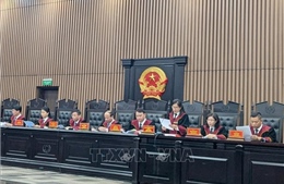 Quyết sách mở đường cho nền tư pháp chuyên nghiệp - Bài 2