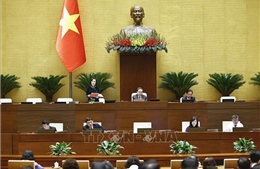 Phê chuẩn một số Phó Chủ tịch và Ủy viên Hội đồng bầu cử quốc gia