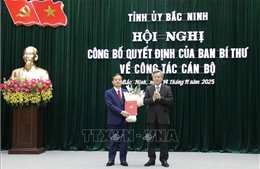 Điều động, chỉ định ông Phạm Hoàng Sơn làm Phó Bí thư Tỉnh ủy Bắc Ninh
