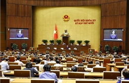 Làm rõ giá trị pháp lý của hoạt động kiểm tra của tổ chức bảo hiểm tiền gửi