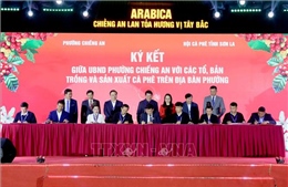 Xây dựng vùng cà phê đặc sản mang đậm bản sắc văn hóa địa phương