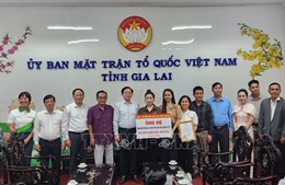 Trao 10 tỷ đồng hỗ trợ người dân Gia Lai bị thiệt hại bởi bão số 13