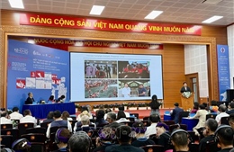 Một thập kỷ bảo vệ và phát huy di sản trò chơi Kéo co