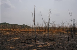 Mối liên hệ giữa cân bằng nước ngầm và phục hồi hệ sinh thái chống sa mạc hóa