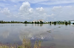 Cảnh báo vùng hạ lưu sông Hậu xuất hiện đỉnh triều trên báo động 3 từ ngày 21 - 22/11