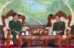 Việt Nam sẽ hỗ trợ cao nhất để giúp Lào tổ chức thành công Lễ kỷ niệm 50 năm Quốc khánh